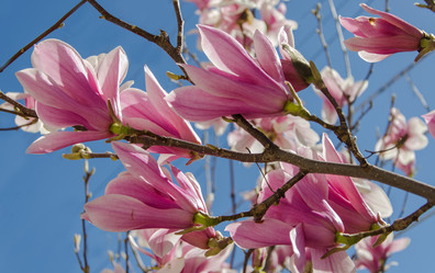 Similar image 12978564