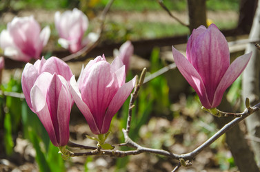 Similar image 12978565