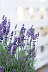 Similar image 12983793