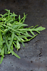 Similar image 12983853