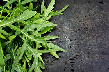 Similar image 12983872