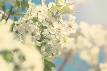 Similar image 12983874