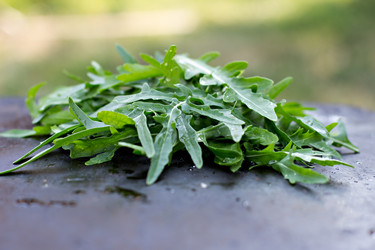 Similar image 12983893