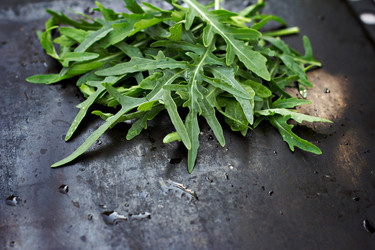 Similar image 12983914