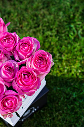 Similar image 12985229