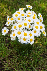 Similar image 12982924