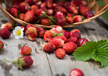 Similar image 12983262