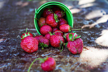 Similar image 12983341