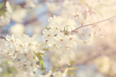 Similar image 12985390