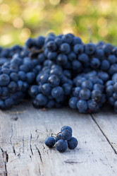 Similar image 12986030