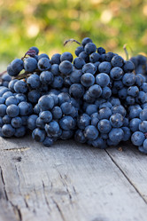 Similar image 12986031