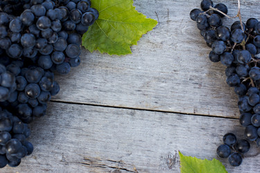 Similar image 12987514