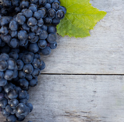 Similar image 12987515