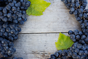 Similar image 12987533