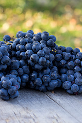 Similar image 12987610