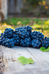 Similar image 12987633