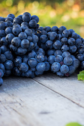 Similar image 12987634