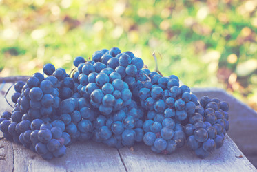 Similar image 12987635