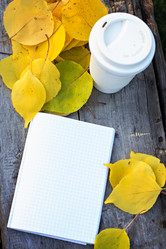 Similar image 12988045