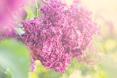 Similar image 12998358