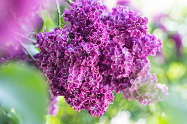 Similar image 12998387