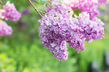 Similar image 12998534