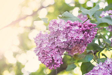 Similar image 12982849