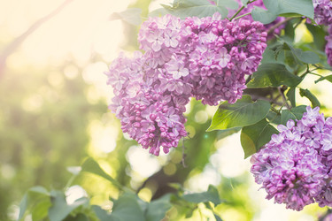 Similar image 12982865