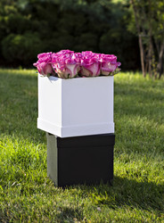 Similar image 12982917