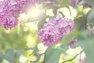 Similar image 12982926