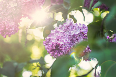 Similar image 12982927