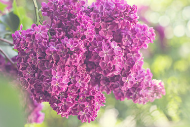 Similar image 12982987