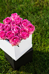 Similar image 12983005