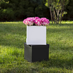 Similar image 12983006