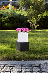 Similar image 12983007