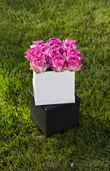 Similar image 12983008