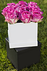 Similar image 12983025