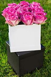 Similar image 12983026