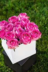 Similar image 12983027