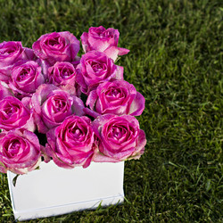 Similar image 12983055