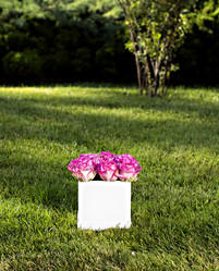 Similar image 12983246