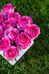 Similar image 12983264