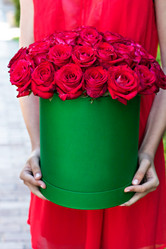 Similar image 12983265