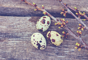 Similar image 12982873