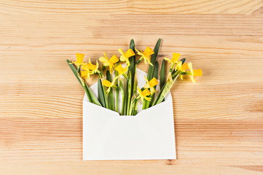 Similar image 12982992