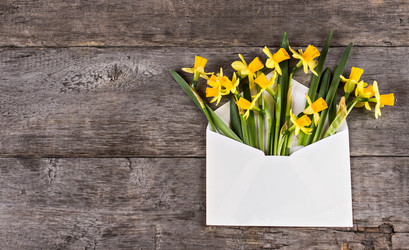 Similar image 12982993