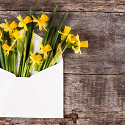 Similar image 12983013