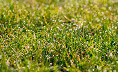 Similar image 12983489