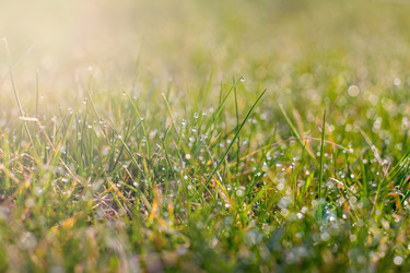 Similar image 12983508