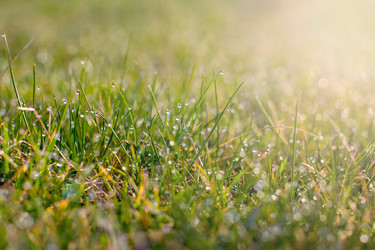 Similar image 12983510